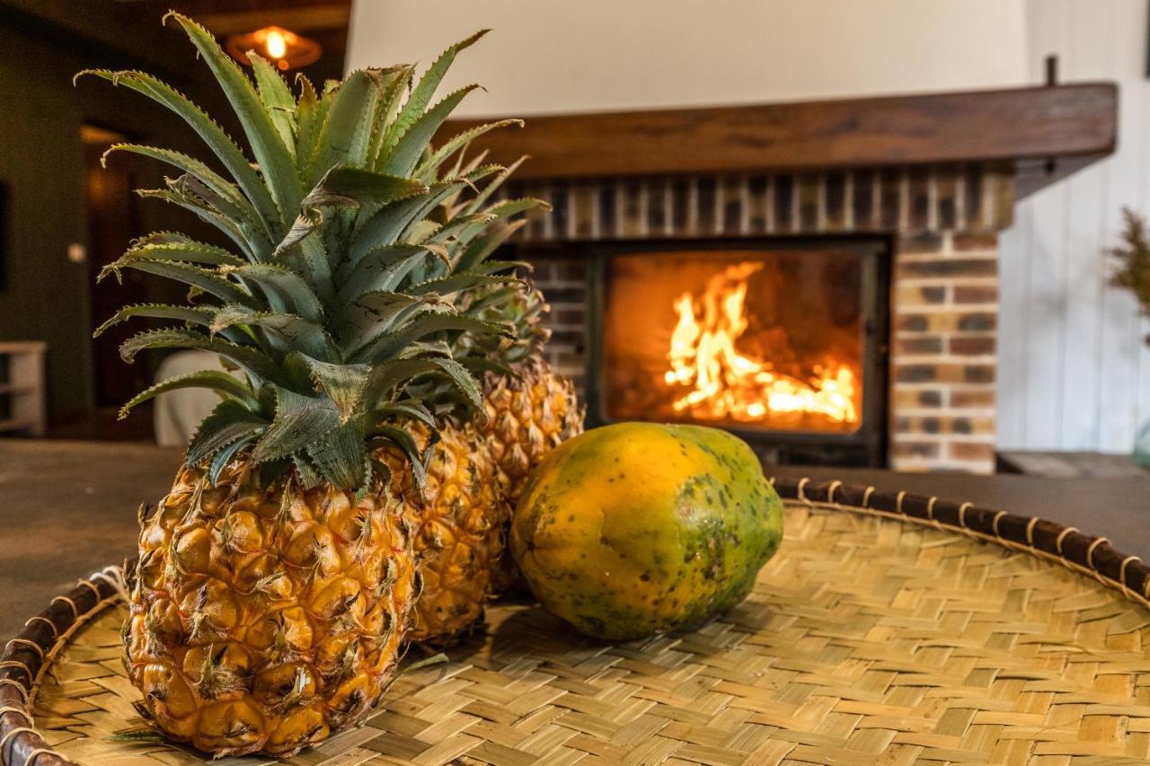 Magnifique Villa Creole Villa Ti Bout Bois Avec Cheminee Au Tevelave Les Avirons 外观 照片